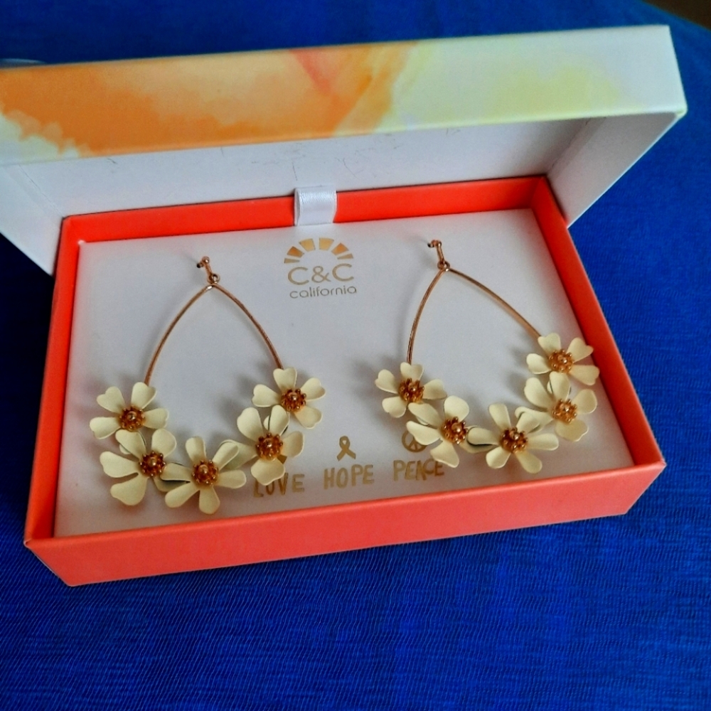 Earnings. New 3 for $25